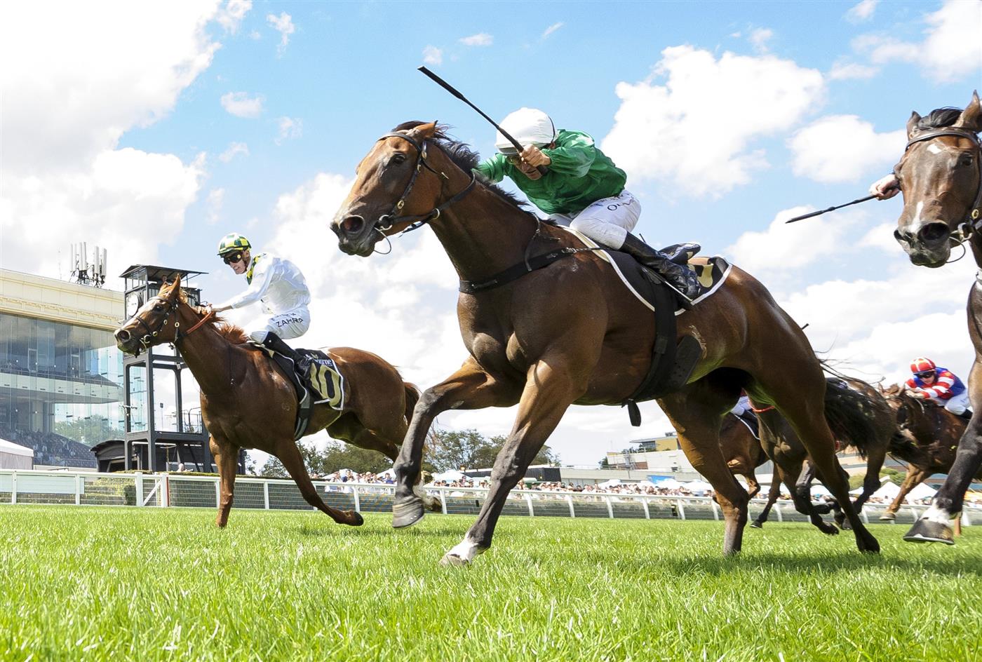 MELBOURNE, AUSTRALIA - FEBRUARY 12: Mark Zahra riding Argentia (L) winning  race 5,  the Senet Kevin Hayes Stakes, during Melbourne Racing at Caulfield Racecourse on February 12, 2022 in Melbourne, Australia. (Photo by Vince Caligiuri/Getty Images)
