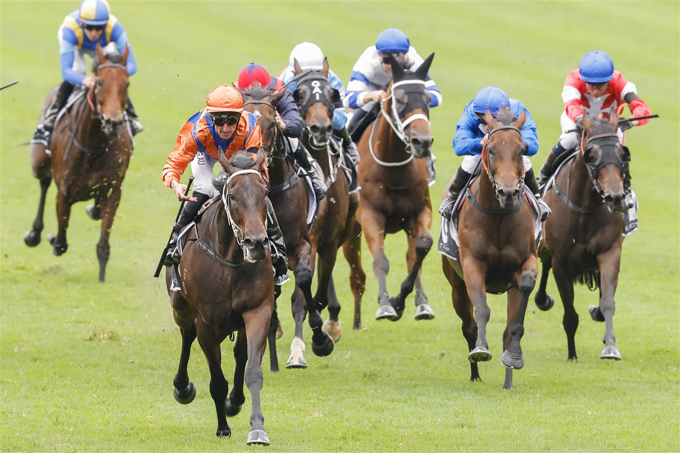 SYDNEY, AUSTRALIA - FEBRUARY 12: Nash Rawiller (orange) on Think it over wins race 8 The Agency Apollo Stakes during Sydney Racing at Royal Randwick Racecourse on February 12, 2022 in Sydney, Australia. (Photo by Jenny Evans/Getty Images)