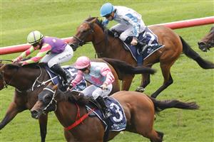 SYDNEY, AUSTRALIA - FEBRUARY 12: Reece Jones on Invincible Kiss wins race 4 the Midway Handicap during Sydney Racing at Royal Randwick Racecourse on February 12, 2022 in Sydney, Australia. (Photo by Jenny Evans/Getty Images)