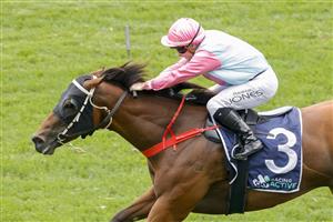 SYDNEY, AUSTRALIA - FEBRUARY 12: Reece Jones on Invincible Kiss wins race 4 the Midway Handicap during Sydney Racing at Royal Randwick Racecourse on February 12, 2022 in Sydney, Australia. (Photo by Jenny Evans/Getty Images)