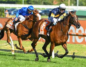 Caulfield Highlights - February 12