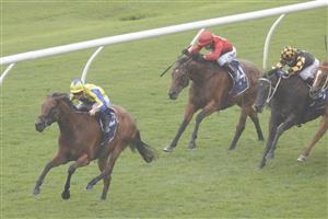 SYDNEY, AUSTRALIA - FEBRUARY 12: James McDonald (yellow) on Snap Dancer wins race 9 the Robrick Lodge Triscay Stakes during Sydney Racing at Royal Randwick Racecourse on February 12, 2022 in Sydney, Australia. (Photo by Jenny Evans/Getty Images)