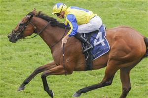 SYDNEY, AUSTRALIA - FEBRUARY 12: James McDonald (yellow) on Snap Dancer wins race 9 the Robrick Lodge Triscay Stakes during Sydney Racing at Royal Randwick Racecourse on February 12, 2022 in Sydney, Australia. (Photo by Jenny Evans/Getty Images)