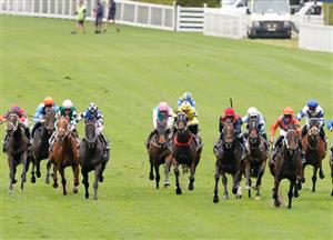 Randwick Highlights - February 12