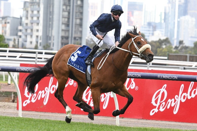 Black Caviar Lightning Stakes Betting Tips