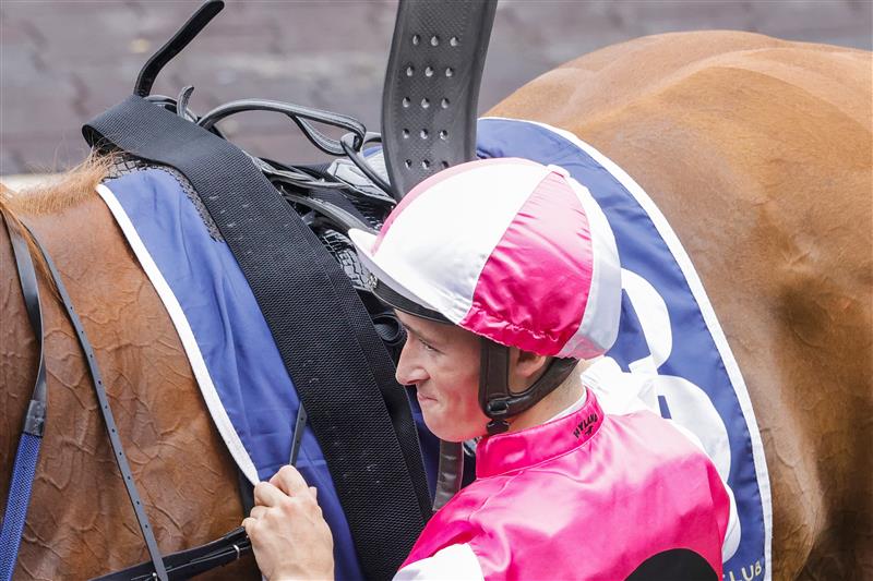 SYDNEY, AUSTRALIA - FEBRUARY 19: Tom Sherry unsaddles Expat after winning race 4 the Rosehill Bowling Club Millie Fox Stakes during Sydney Racing at Rosehill Gardens on February 19, 2022 in Sydney, Australia. (Photo by Jenny Evans/Getty Images)
