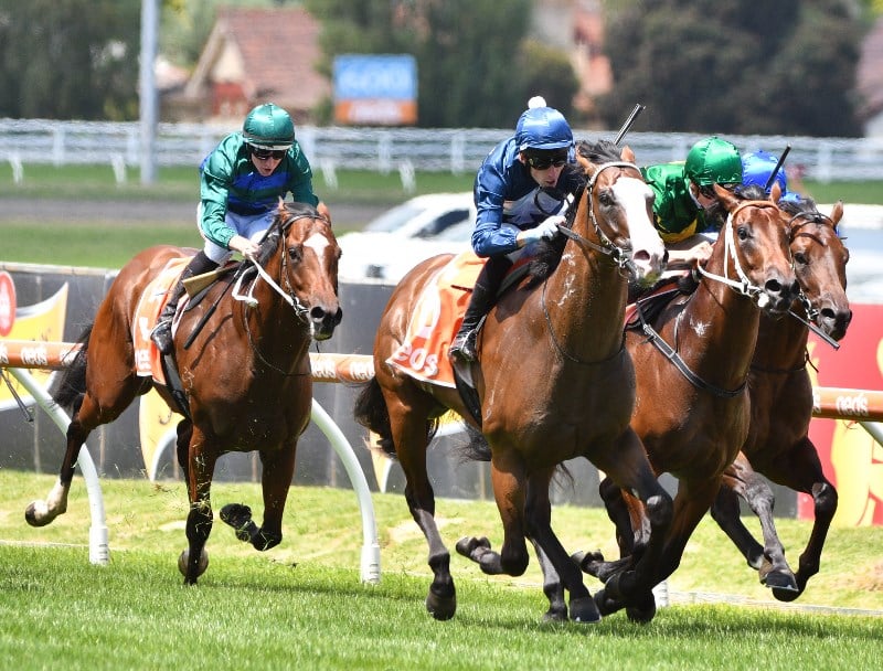 Blue Diamond Odds
