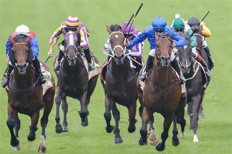SYDNEY, AUSTRALIA - FEBRUARY 19: Tommy Berry (blue) on Anamoe wins race 8 the Petaluma Hobartville Stakes during Sydney Racing at Rosehill Gardens on February 19, 2022 in Sydney, Australia. (Photo by Jenny Evans/Getty Images)