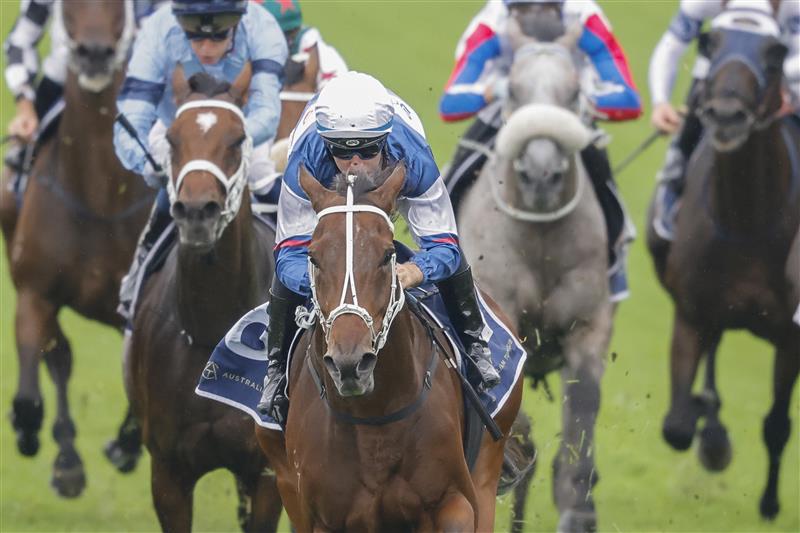 SYDNEY, AUSTRALIA - FEBRUARY 19: Tommy Berry on Mightybeel wins race 7 the Parramatta Cup during Sydney Racing at Rosehill Gardens on February 19, 2022 in Sydney, Australia. (Photo by Jenny Evans/Getty Images)