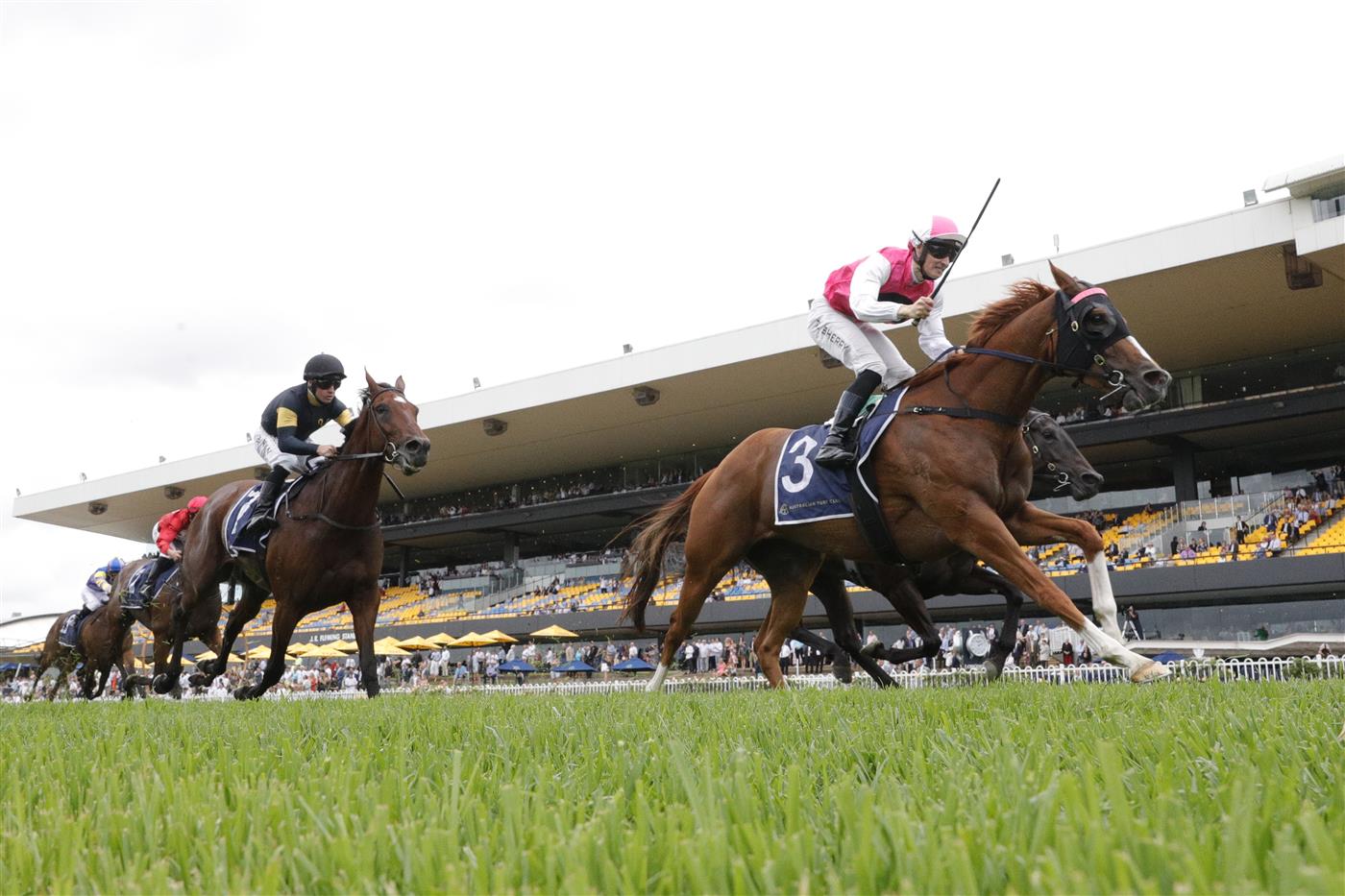 SYDNEY, AUSTRALIA - FEBRUARY 19: Tom Sherry on Expat wins race 4 the Rosehill Bowling Club Millie Fox Stakes during Sydney Racing at Rosehill Gardens on February 19, 2022 in Sydney, Australia. (Photo by Jenny Evans/Getty Images)