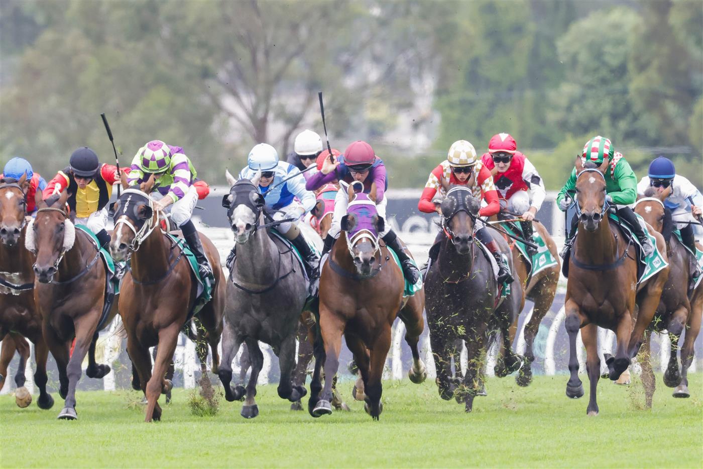 SYDNEY, AUSTRALIA - FEBRUARY 19: Jason Collett on Golden Point (green) wins race 1 the Tab Highway Handicap during Sydney Racing at Rosehill Gardens on February 19, 2022 in Sydney, Australia. (Photo by Jenny Evans/Getty Images)