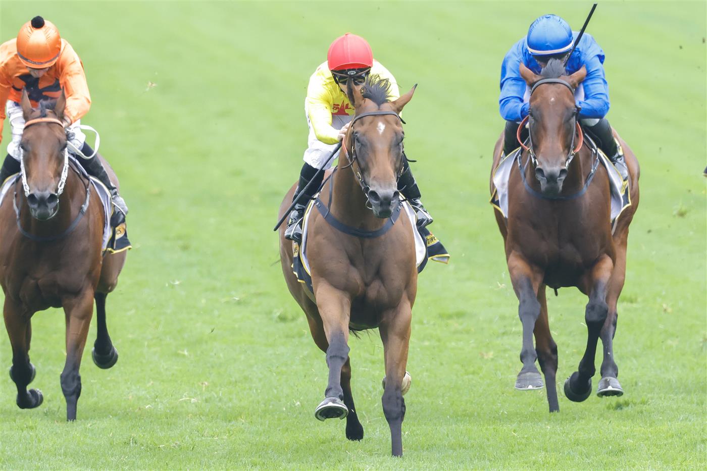 SYDNEY, AUSTRALIA - FEBRUARY 19: Tim Clark (yellow, red cap) on Rule of Law wins race 2 the Schweppes Handicap during Sydney Racing at Rosehill Gardens on February 19, 2022 in Sydney, Australia. (Photo by Jenny Evans/Getty Images)