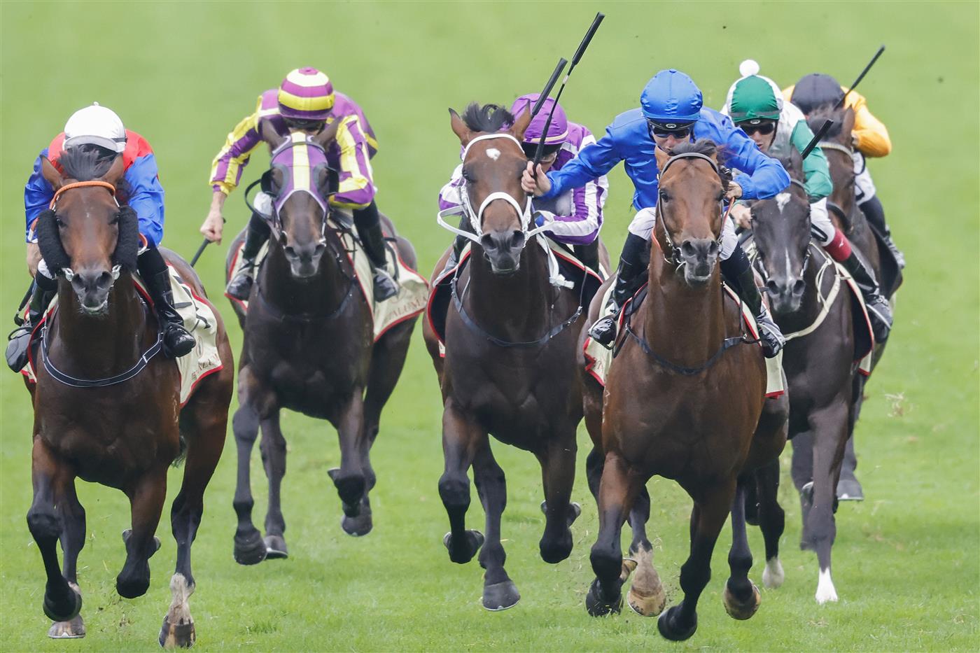 SYDNEY, AUSTRALIA - FEBRUARY 19: Tommy Berry (blue) on Anamoe wins race 8 the Petaluma Hobartville Stakes during Sydney Racing at Rosehill Gardens on February 19, 2022 in Sydney, Australia. (Photo by Jenny Evans/Getty Images)