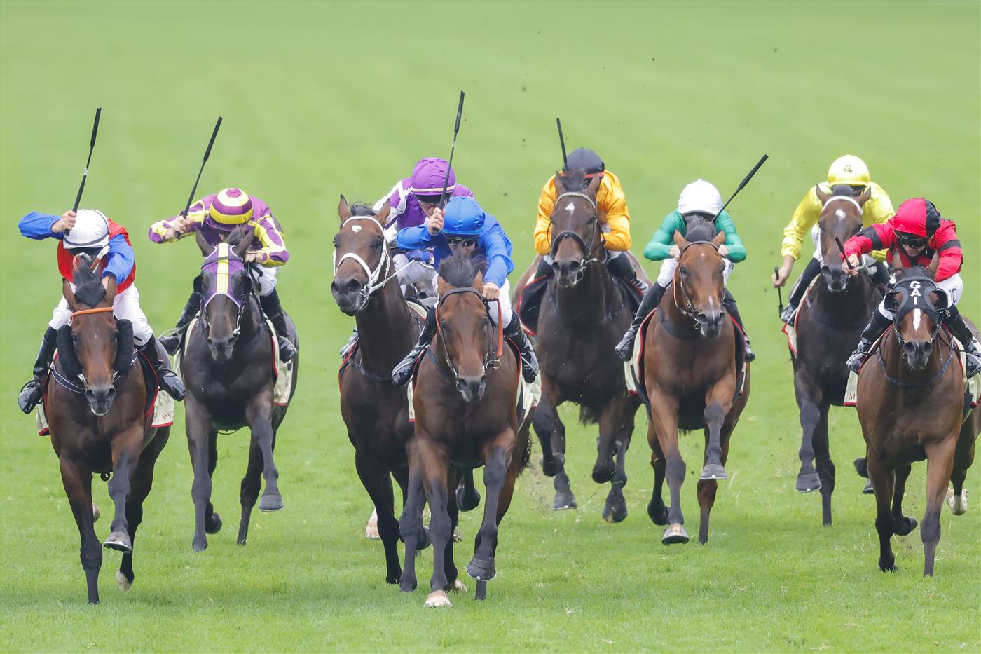 SYDNEY, AUSTRALIA - FEBRUARY 19: Tommy Berry (blue) on Anamoe wins race 8 the Petaluma Hobartville Stakes during Sydney Racing at Rosehill Gardens on February 19, 2022 in Sydney, Australia. (Photo by Jenny Evans/Getty Images)