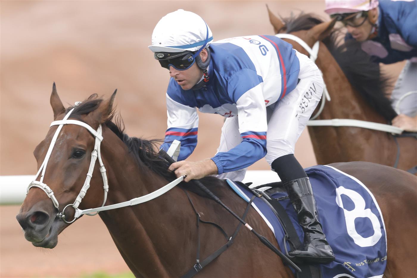 SYDNEY, AUSTRALIA - FEBRUARY 19: Tommy Berry on Mightybeel wins race 7 the Parramatta Cup during Sydney Racing at Rosehill Gardens on February 19, 2022 in Sydney, Australia. (Photo by Jenny Evans/Getty Images)