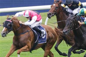 SYDNEY, AUSTRALIA - FEBRUARY 19: Tom Sherry on Expat wins race 4 the Rosehill Bowling Club Millie Fox Stakes during Sydney Racing at Rosehill Gardens on February 19, 2022 in Sydney, Australia. (Photo by Jenny Evans/Getty Images)
