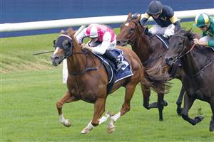 SYDNEY, AUSTRALIA - FEBRUARY 19: Tom Sherry on Expat wins race 4 the Rosehill Bowling Club Millie Fox Stakes during Sydney Racing at Rosehill Gardens on February 19, 2022 in Sydney, Australia. (Photo by Jenny Evans/Getty Images)
