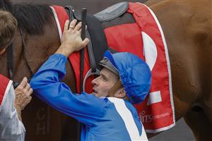 SYDNEY, AUSTRALIA - FEBRUARY 19: Sam Clipperton unsaddles Best Of Bordeaux as he returns to scale after winning the Fujitsu General Silver Slipper Stakes during Sydney Racing at Rosehill Gardens on February 19, 2022 in Sydney, Australia. (Photo by Jenny Evans/Getty Images)