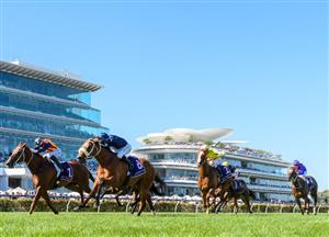 Flemington Highlights - February 19