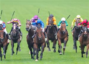 Rosehill Highlights - Feb 19
