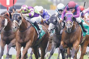 SYDNEY, AUSTRALIA - FEBRUARY 19: Jason Collett on Golden Point (green) wins race 1 the Tab Highway Handicap during Sydney Racing at Rosehill Gardens on February 19, 2022 in Sydney, Australia. (Photo by Jenny Evans/Getty Images)