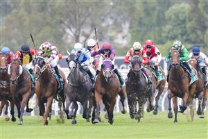SYDNEY, AUSTRALIA - FEBRUARY 19: Jason Collett on Golden Point (green) wins race 1 the Tab Highway Handicap during Sydney Racing at Rosehill Gardens on February 19, 2022 in Sydney, Australia. (Photo by Jenny Evans/Getty Images)