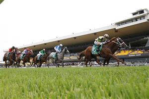 SYDNEY, AUSTRALIA - FEBRUARY 19: Jason Collett on Golden Point (green) wins race 1 the Tab Highway Handicap during Sydney Racing at Rosehill Gardens on February 19, 2022 in Sydney, Australia. (Photo by Jenny Evans/Getty Images)