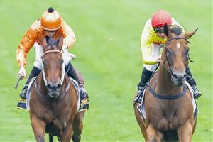 SYDNEY, AUSTRALIA - FEBRUARY 19: Tim Clark (yellow, red cap) on Rule of Law wins race 2 the Schweppes Handicap during Sydney Racing at Rosehill Gardens on February 19, 2022 in Sydney, Australia. (Photo by Jenny Evans/Getty Images)
