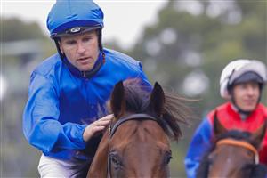 SYDNEY, AUSTRALIA - FEBRUARY 19: Tommy Berry pats Anamoe as he returns to scale after winning race 8 the Petaluma Hobartville Stakes during Sydney Racing at Rosehill Gardens on February 19, 2022 in Sydney, Australia. (Photo by Jenny Evans/Getty Images)