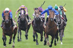SYDNEY, AUSTRALIA - FEBRUARY 19: Tommy Berry (blue) on Anamoe wins race 8 the Petaluma Hobartville Stakes during Sydney Racing at Rosehill Gardens on February 19, 2022 in Sydney, Australia. (Photo by Jenny Evans/Getty Images)