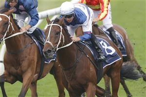 SYDNEY, AUSTRALIA - FEBRUARY 19: Tommy Berry on Mightybeel wins race 7 the Parramatta Cup during Sydney Racing at Rosehill Gardens on February 19, 2022 in Sydney, Australia. (Photo by Jenny Evans/Getty Images)
