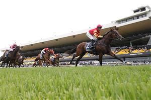 SYDNEY, AUSTRALIA - FEBRUARY 19: Tommy Berry (red) on Military expert wins the Midway Handicap during Sydney Racing at Rosehill Gardens on February 19, 2022 in Sydney, Australia. (Photo by Jenny Evans/Getty Images)