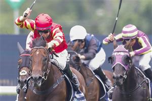 SYDNEY, AUSTRALIA - FEBRUARY 19: Tommy Berry (red) on Military expert wins the Midway Handicap during Sydney Racing at Rosehill Gardens on February 19, 2022 in Sydney, Australia. (Photo by Jenny Evans/Getty Images)