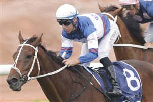 SYDNEY, AUSTRALIA - FEBRUARY 19: Tommy Berry on Mightybeel wins race 7 the Parramatta Cup during Sydney Racing at Rosehill Gardens on February 19, 2022 in Sydney, Australia. (Photo by Jenny Evans/Getty Images)
