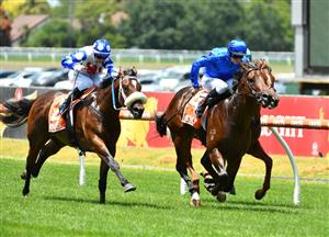 Blue Diamond Stakes Barrier Draw & Final Field
