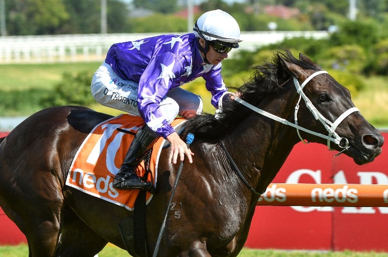 Caulfield Betting Tips