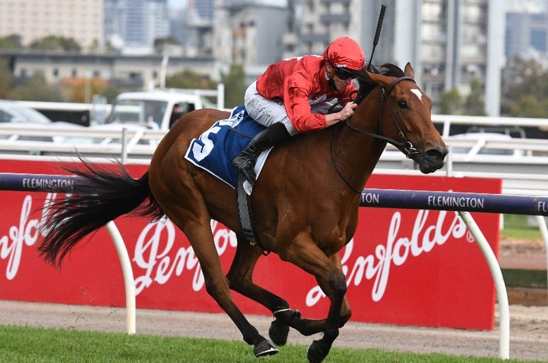 Oakleigh Plate Betting Tips