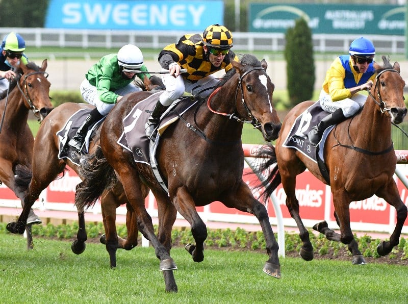Surround Stakes Tips