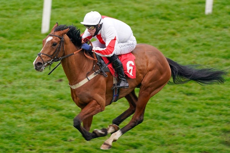 Newspaper racing tips for today ITV Racing tips at Kempton Lingfield Newcastle February 26 Newspaper racing tips for today ITV Racing tips at Kempton Lingfield Newcastle February 26