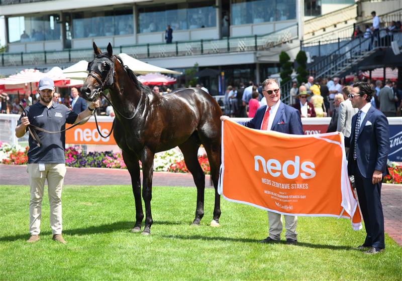 MELBOURNE, AUSTRALIA - FEBRUARY 26: Finance Tycoon after winning Race 1, the Neds Zeditave Stakes, during Melbourne Racing at Caulfield Racecourse on February 26, 2022 in Melbourne, Australia. (Photo by Vince Caligiuri/Getty Images)