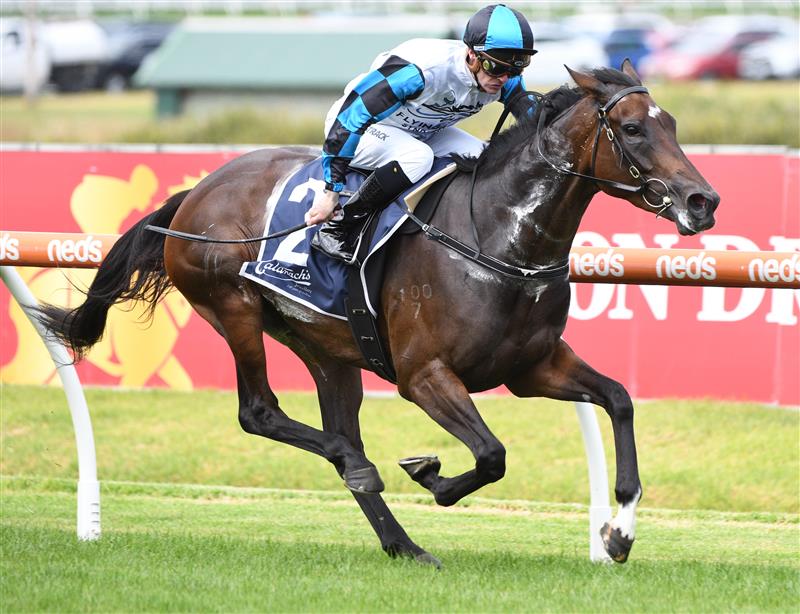 MELBOURNE, AUSTRALIA - FEBRUARY 26: Blaike McDougall riding Flying Mascot winning Race 2, the Catanach's Jewellers Mannerism Stakes, during Melbourne Racing at Caulfield Racecourse on February 26, 2022 in Melbourne, Australia. (Getty)