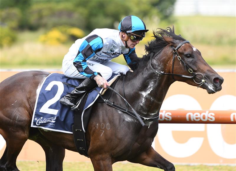 MELBOURNE, AUSTRALIA - FEBRUARY 26: Blaike McDougall riding Flying Mascot winning Race 2, the Catanach's Jewellers Mannerism Stakes, during Melbourne Racing at Caulfield Racecourse on February 26, 2022 in Melbourne, Australia. (Getty)