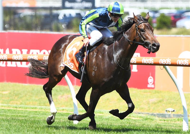 MELBOURNE, AUSTRALIA - FEBRUARY 26: Ben Melham riding Lavish Girl winning Race 4, the Neds Angus Armanasco Stakes, during Melbourne Racing at Caulfield Racecourse on February 26, 2022 in Melbourne, Australia. (Photo by Vince Caligiuri/Getty Images)