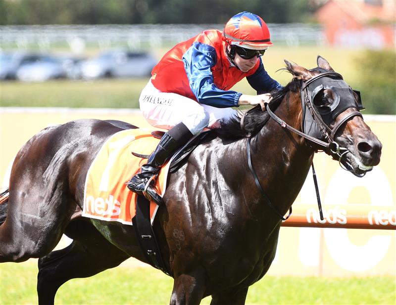 MELBOURNE, AUSTRALIA - FEBRUARY 26: Damian Lane riding Finance Tycoon winning Race 1, the Neds Zeditave Stakes, during Melbourne Racing at Caulfield Racecourse on February 26, 2022 in Melbourne, Australia. (Photo by Vince Caligiuri/Getty Images)