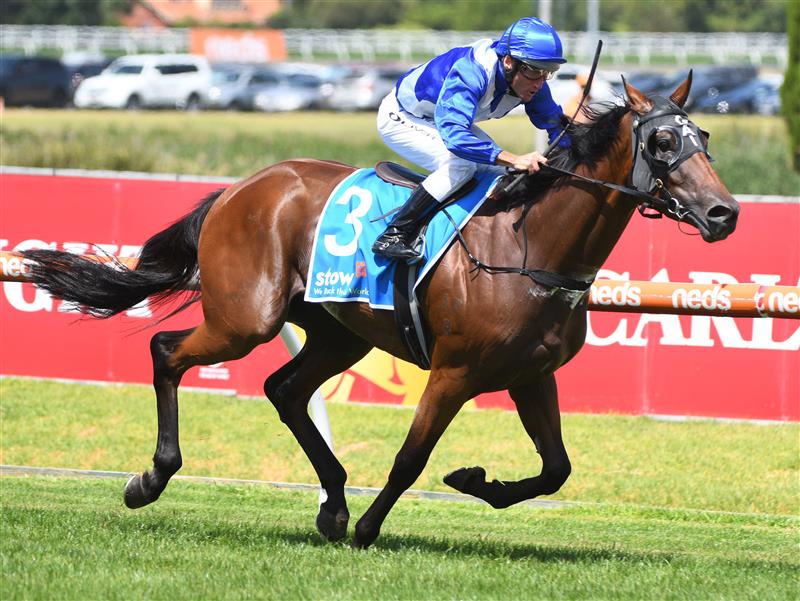 MELBOURNE, AUSTRALIA - FEBRUARY 26: Damien Oliver riding Castlereagh Kid winning Race 3, the Stow Storage Solutions Autumn Classic, during Melbourne Racing at Caulfield Racecourse on February 26, 2022 in Melbourne, Australia. (Photo by Vince Caligiuri/Getty Images)