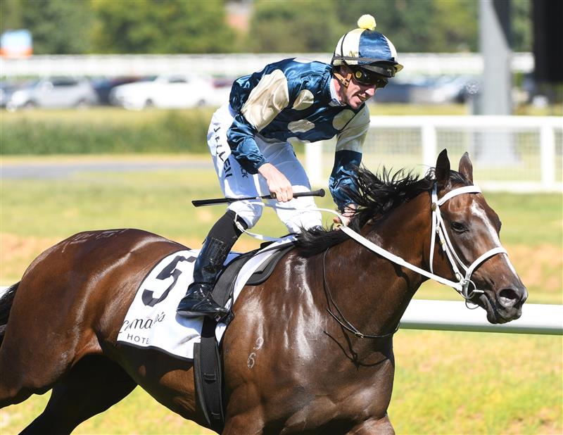 MELBOURNE, AUSTRALIA - FEBRUARY 26: John Allen riding Sierra Sue winning Race 6, the Lamaro's Hotel Futurity Stakes, during Melbourne Racing at Caulfield Racecourse on February 26, 2022 in Melbourne, Australia. (Photo by Vince Caligiuri/Getty Images)