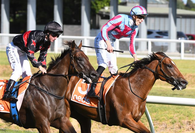 MELBOURNE, AUSTRALIA - FEBRUARY 26: Ben Allen riding Marabi defeats Linda Meech riding Away Game in Race 8,  the Neds Oakleigh Plate, during Melbourne Racing at Caulfield Racecourse on February 26, 2022 in Melbourne, Australia. (Photo by Vince Caligiuri/Getty Images)