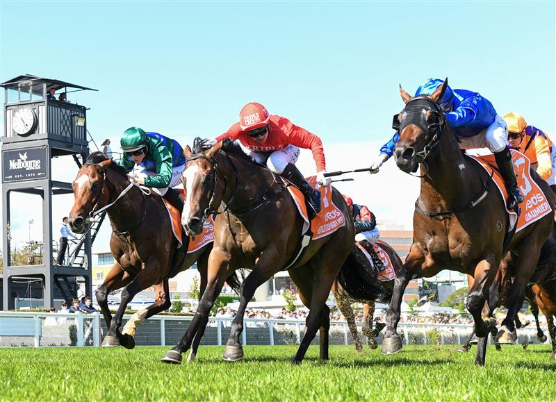 MELBOURNE, AUSTRALIA - FEBRUARY 26: Mark Zahra riding Daumier (R) winning Race 7, the Neds Blue Diamond Stakes,  during Melbourne Racing at Caulfield Racecourse on February 26, 2022 in Melbourne, Australia. (Photo by Vince Caligiuri/Getty Images)