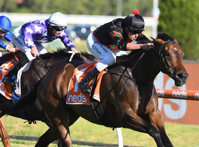 MELBOURNE, AUSTRALIA - FEBRUARY 26: Billy Egan riding Defibrillate winning Race 9, Le Neds Mornington Cup Prelude,  during Melbourne Racing at Caulfield Racecourse on February 26, 2022 in Melbourne, Australia. (Photo by Vince Caligiuri/Getty Images)