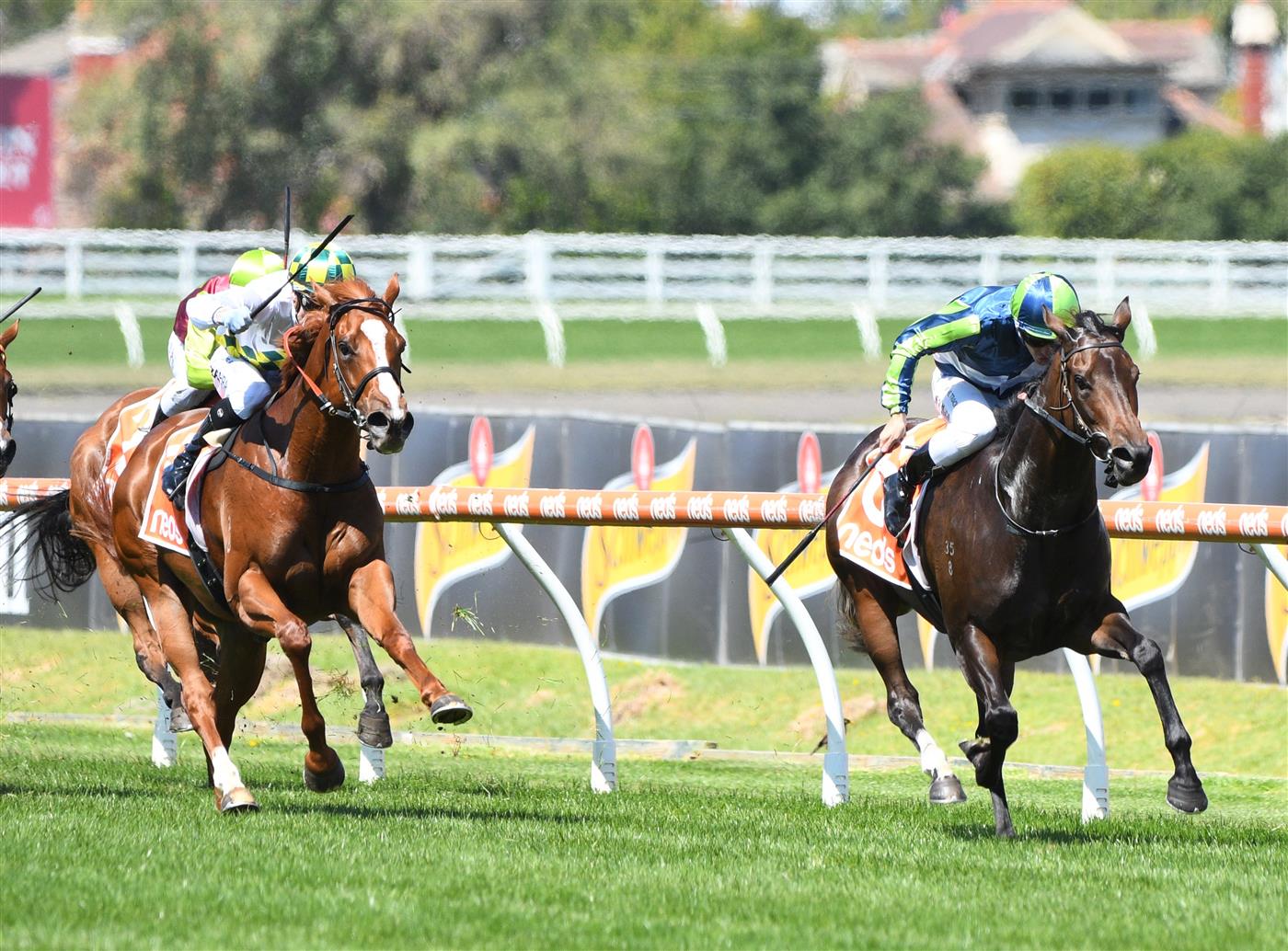 MELBOURNE, AUSTRALIA - FEBRUARY 26: Ben Melham riding Lavish Girl winning Race 4, the Neds Angus Armanasco Stakes, during Melbourne Racing at Caulfield Racecourse on February 26, 2022 in Melbourne, Australia. (Photo by Vince Caligiuri/Getty Images)